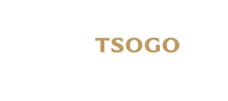 PlayTSOGO Promo Code