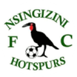 Nsingizini Hotspurs-logo