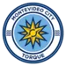 Atletico Torque-logo