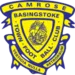 Basingstoke Town-logo