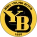 BSC Young Boys-logo