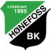 Hønefoss