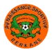 Renaissance Berkane-logo