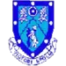 Rugby Town-logo