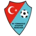 Türkgücü-Ataspor