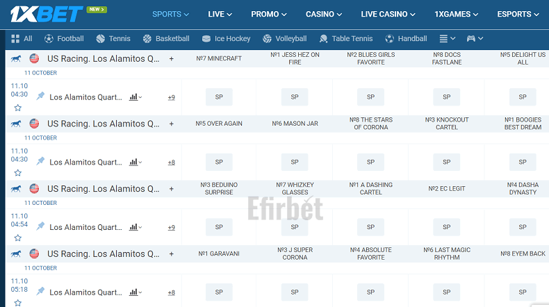 1xBet horse racings