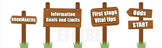tips for beginners in online bets
