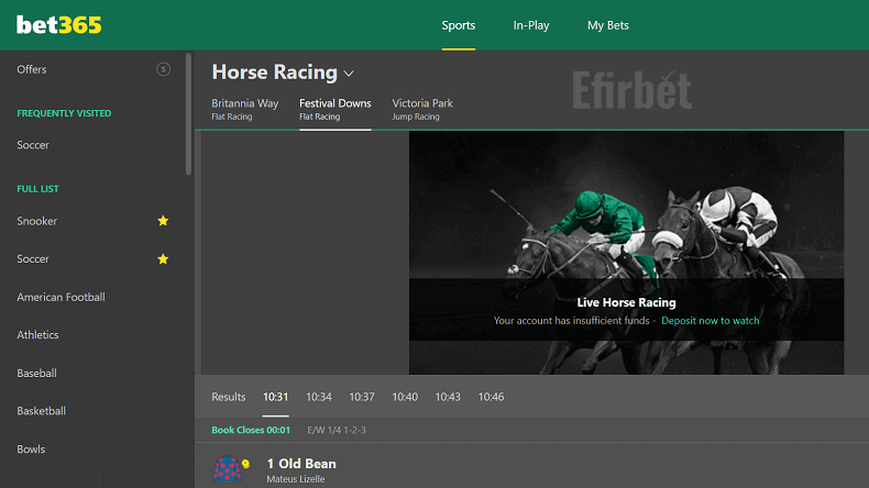 Bet365 birtual horse racings