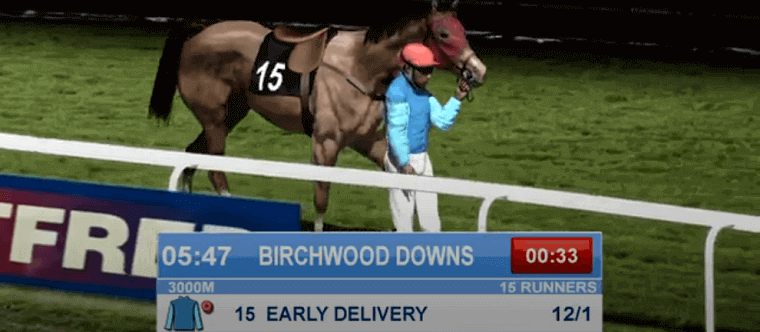 Betfred's Virtual Horses