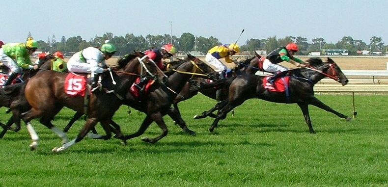 live horse racing betting