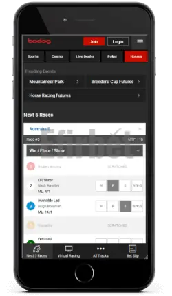 Bodog mobile horses on iOS