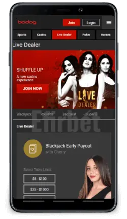 Bodog mobile live dealer games