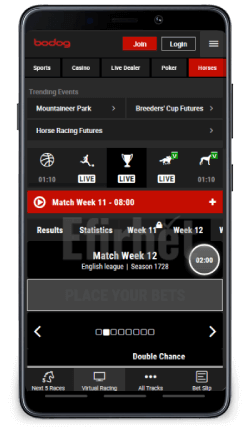 Bodog mobile virtual sports on Android app