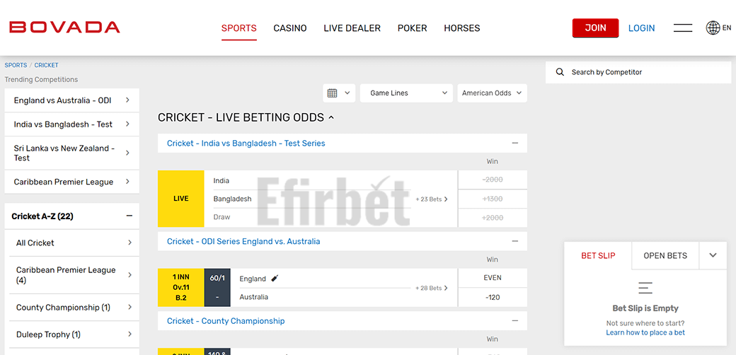 Bovada Cricket Odds