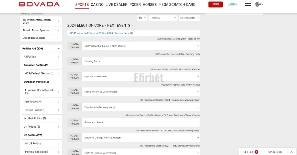 Bovada Election Betting Markets
