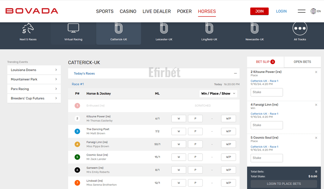 Bovada horse racings