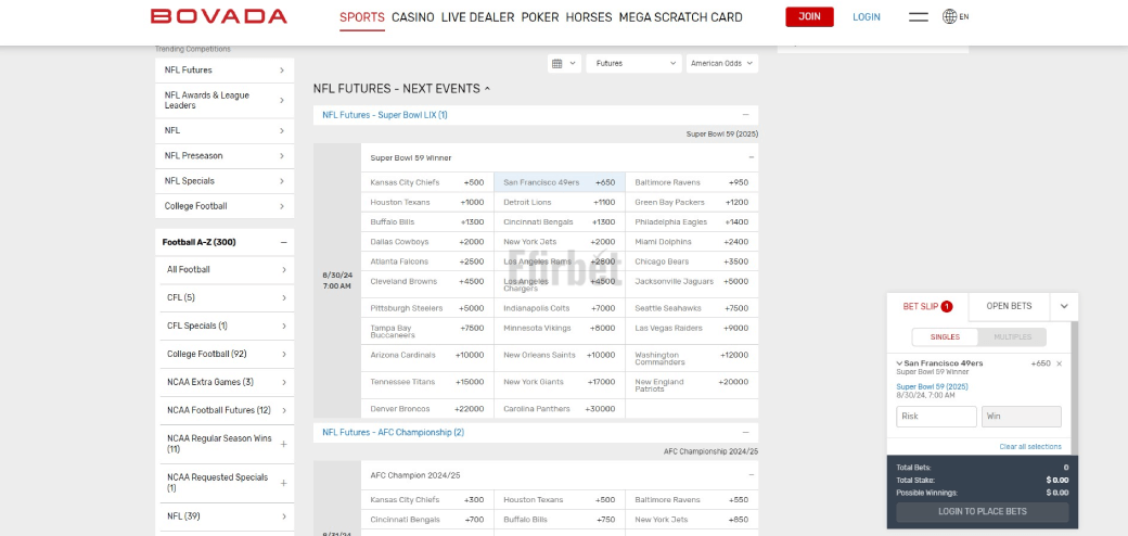 Bovada NFL Futures