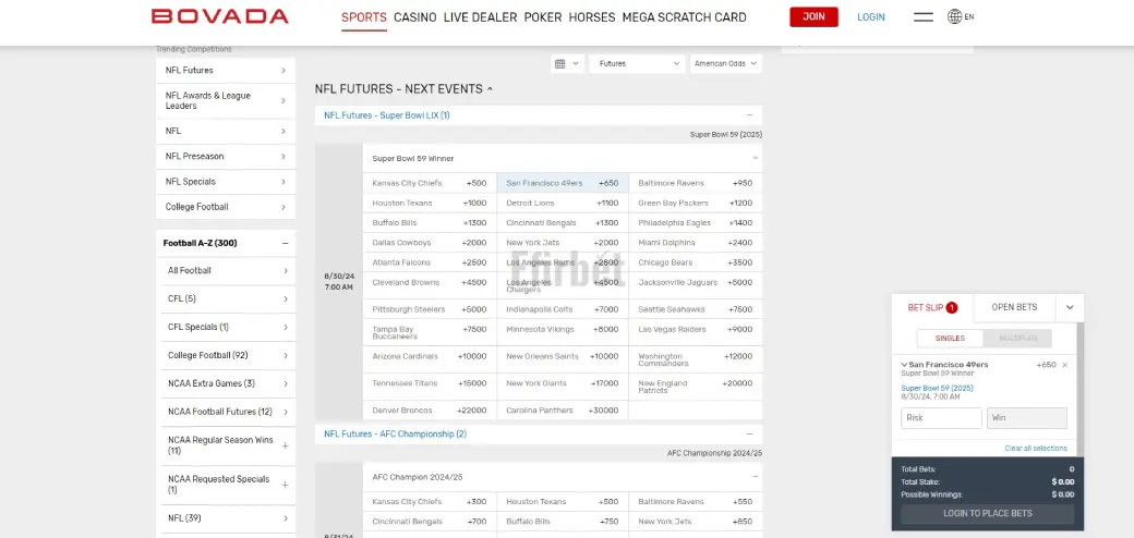 Bovada NFL Futures