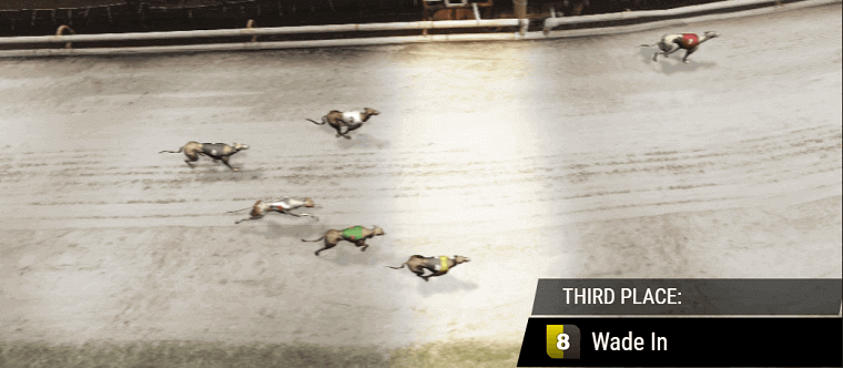 Bwin's Virtual Greyhounds
