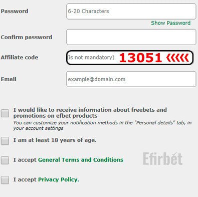 Efbet Promo Code Field