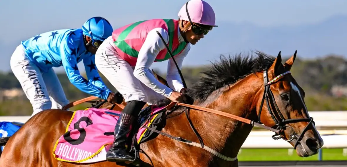 Eight on Eighteen Horse