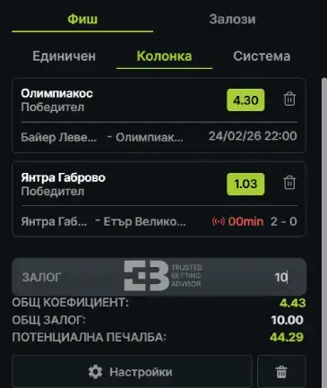 Елитбет фиш за залози