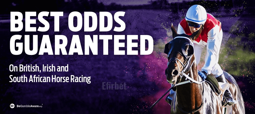 Hollywoodbets best odds guaranteed