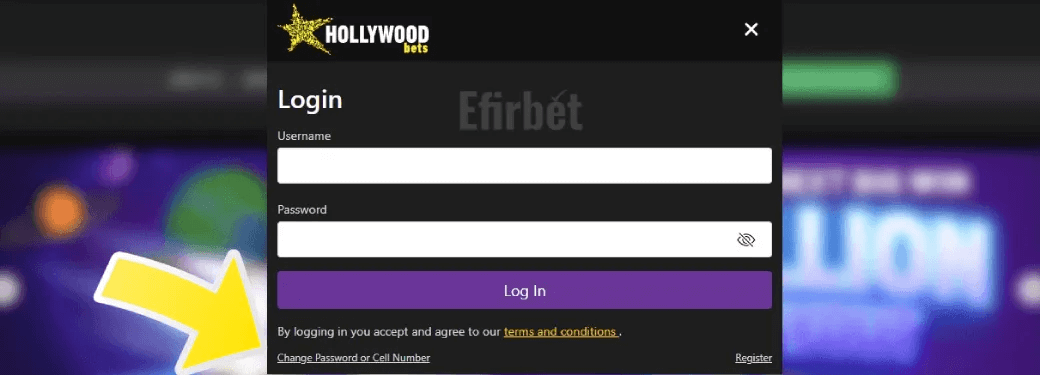 Hollywoodsbets change password and phone number