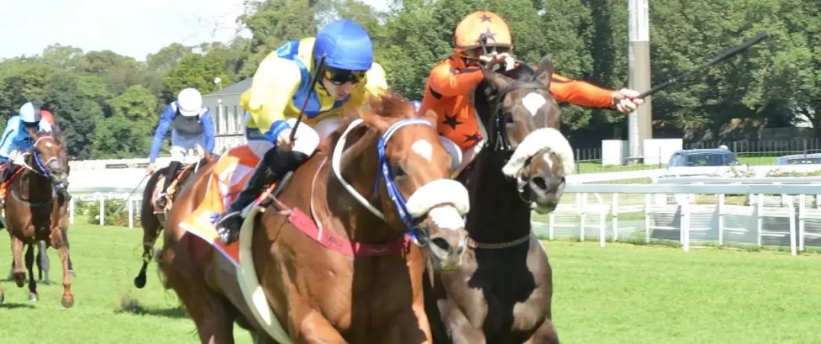 Immediate Edge Horse