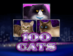 Казино игри със 100 линии 100 Cats