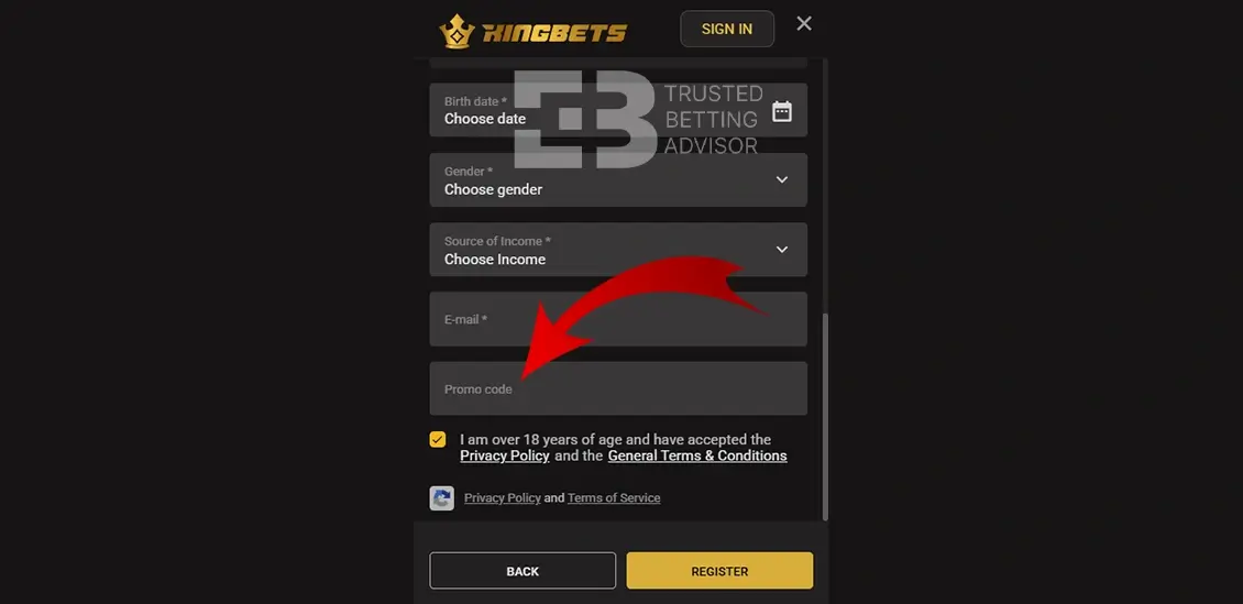 Kingbets Promo Code Field