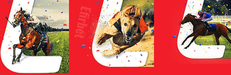 Ladbrokes Each Way Bet