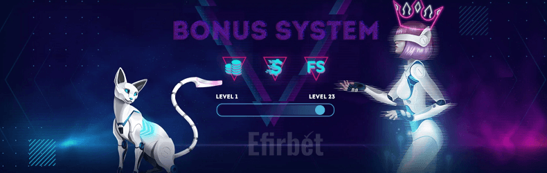 Mr Bit bonus system