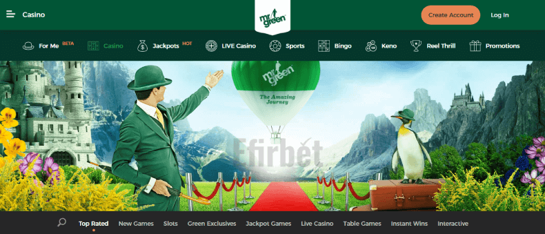 Mr. Green Website Design