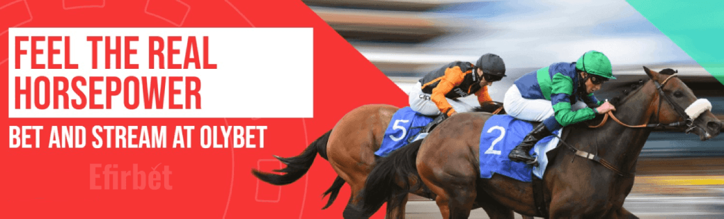 Olybet Risk Free Bonus for Horses