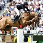 palloubet-d'halong