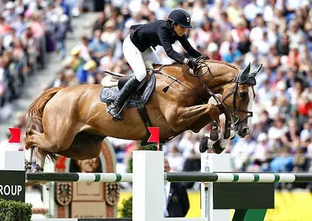 Palloubet d’Halong