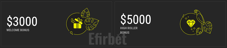 Parimatch Casino Welcome Bonuses