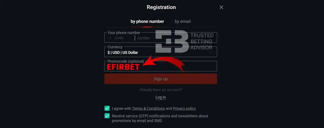 Pin-up Bet Registration Form