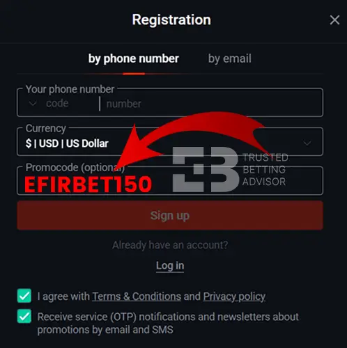 Pin-up Casino Promo Code Field