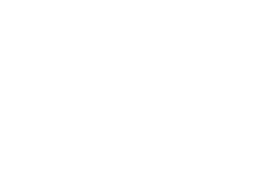 Punt Casino Review