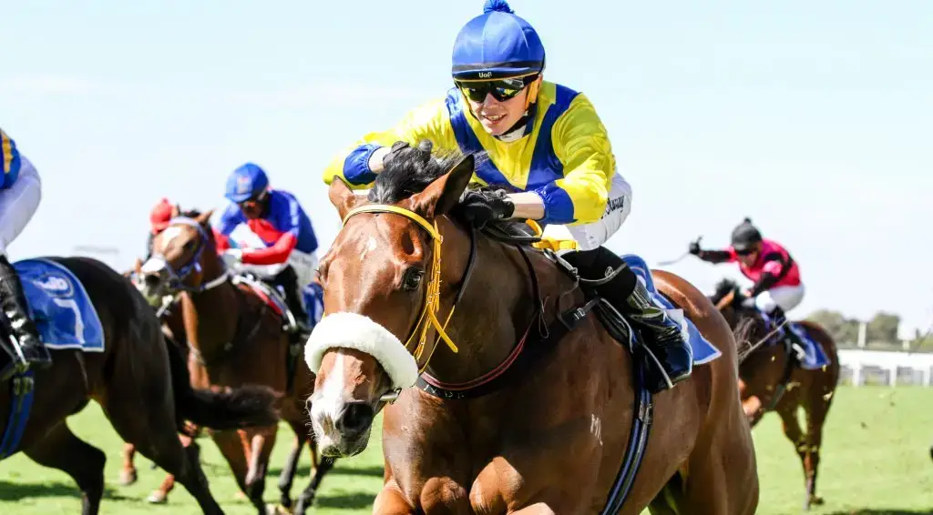 South Africa’s Top 5 Horses & Jockeys – Some Names May Surprise You