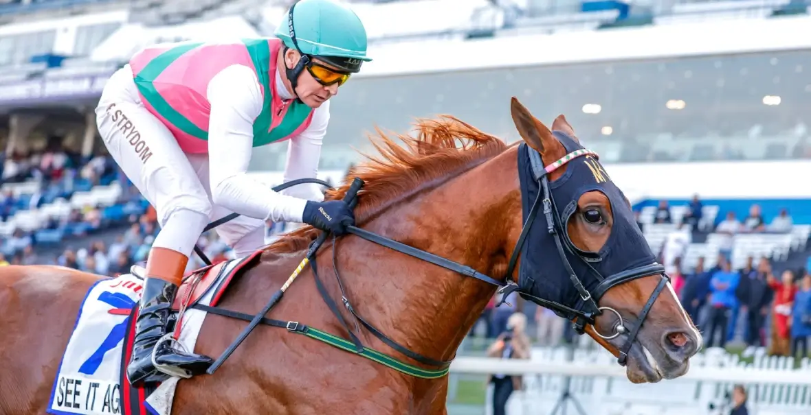 See it Again Horse