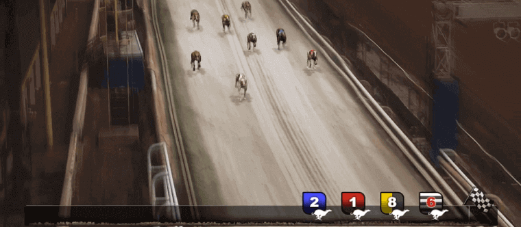 Sportingbet's Virtual Greyhounds