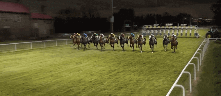 Sportingbet's Virtual Horses