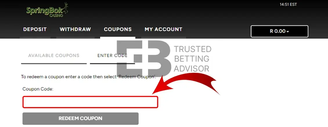 Springbok Casino Bonus Code Field