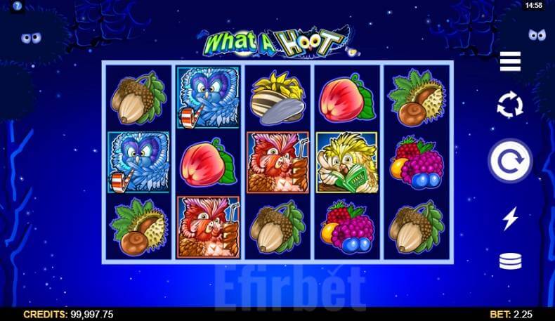 What a Hoot Slot online
