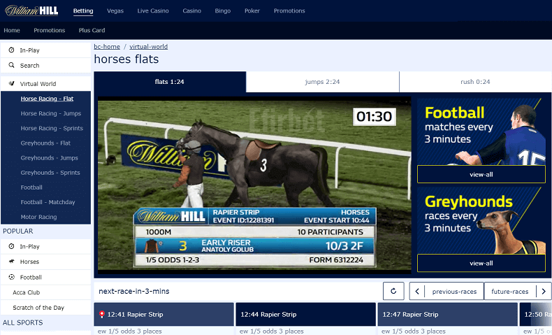 William Hill virtual horse racings