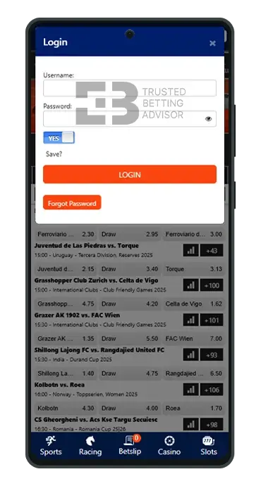 WSB Mobile App Android Login