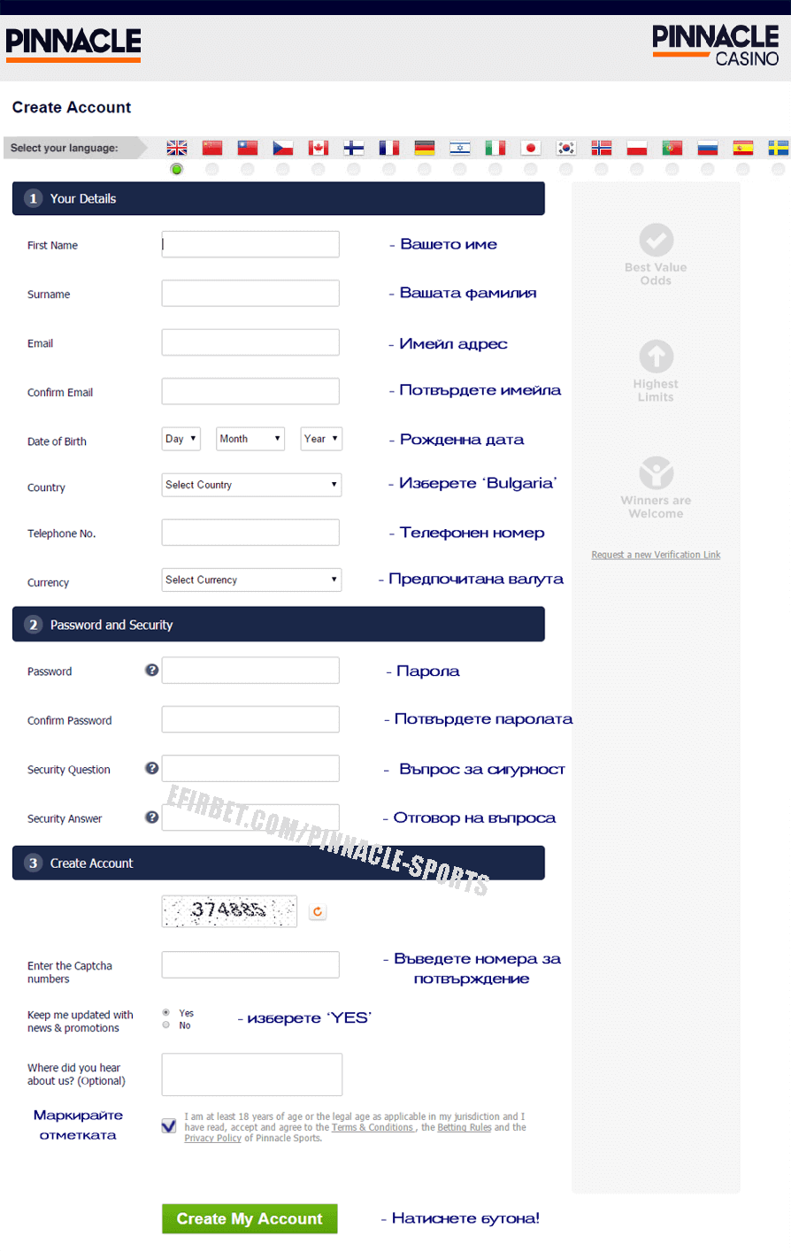 регистрация в Pinnacle